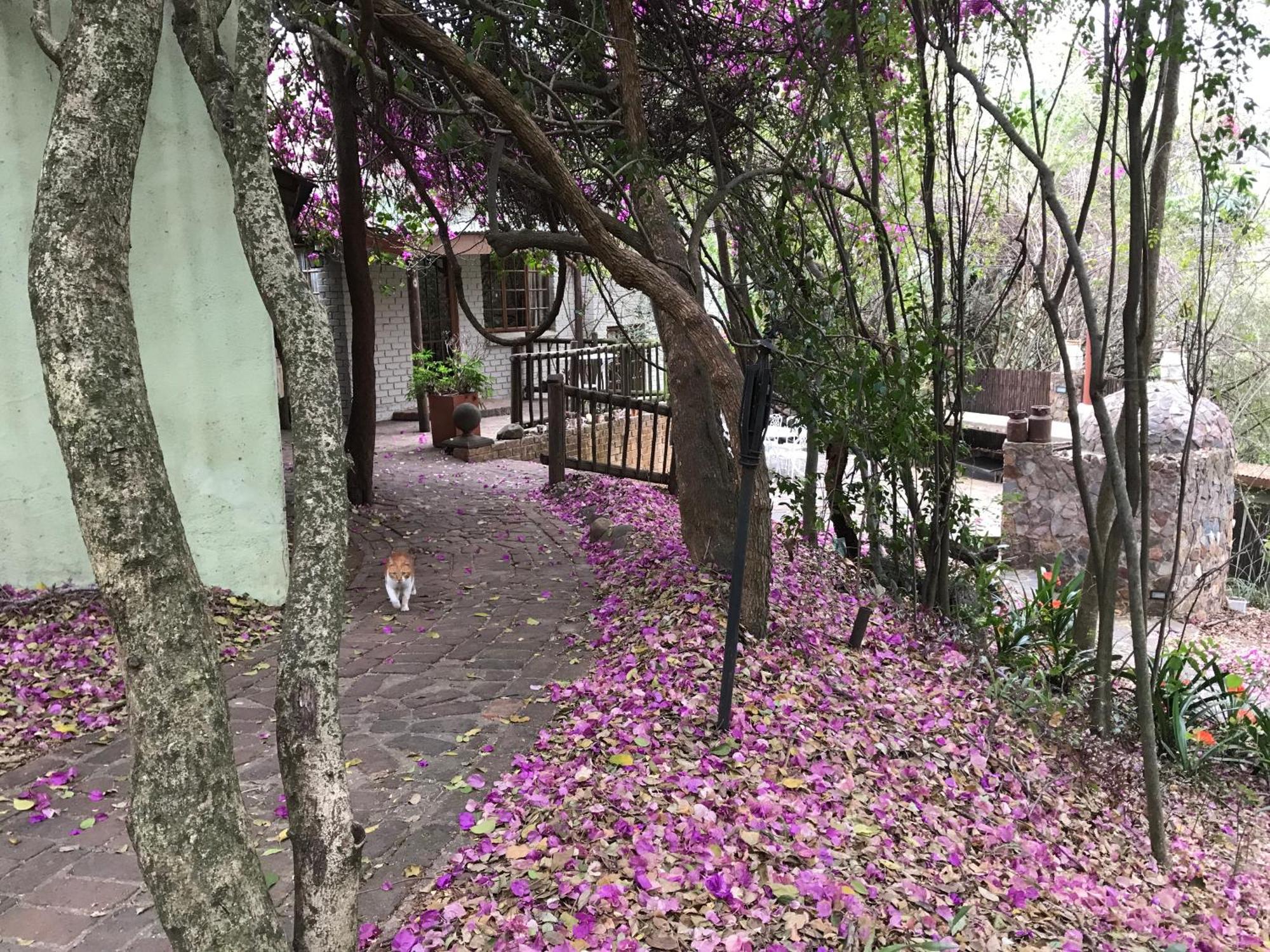 Old Joe'S Kaia Hotel Shoemanskloof Екстериор снимка
